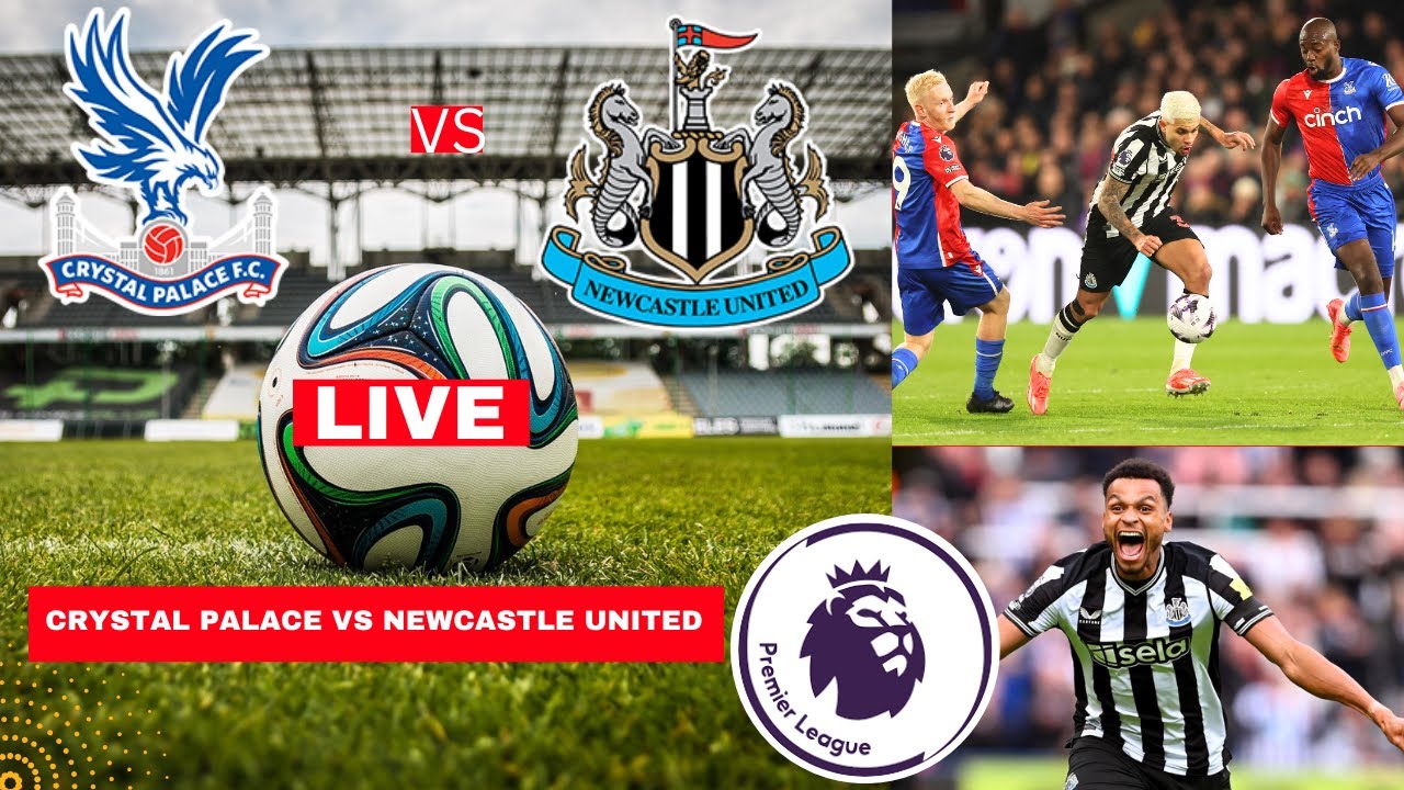 Crystal Palace Vs Newcastle Live Stream Premier League EPL Football Match Score Commentary Highlight