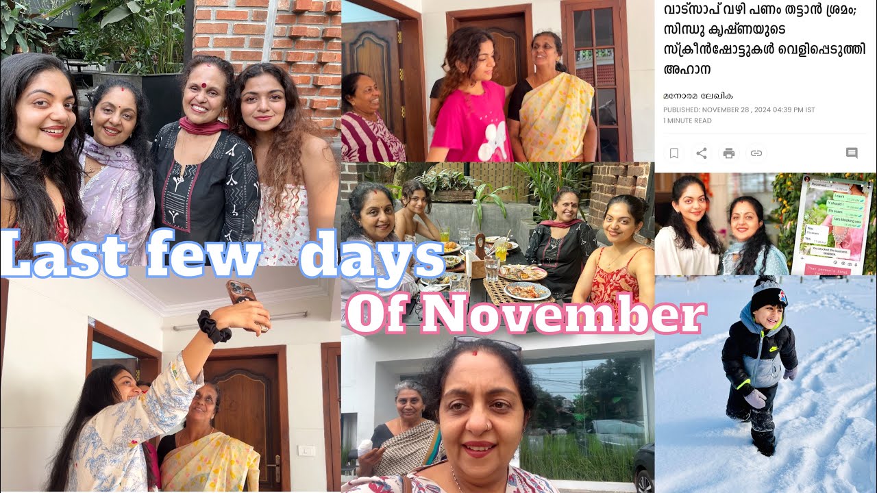 Last Days Of November | Sindhu Krishna