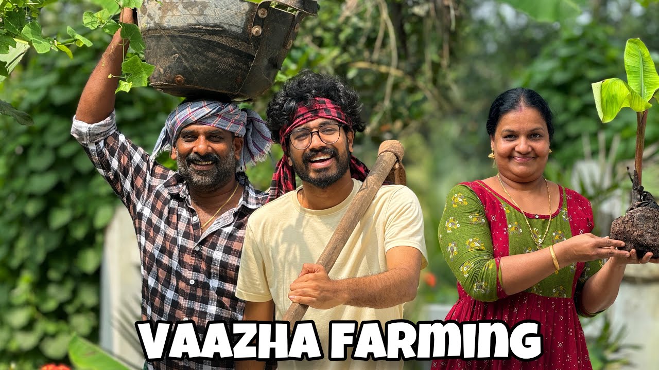 VAAZHA FARMING😁