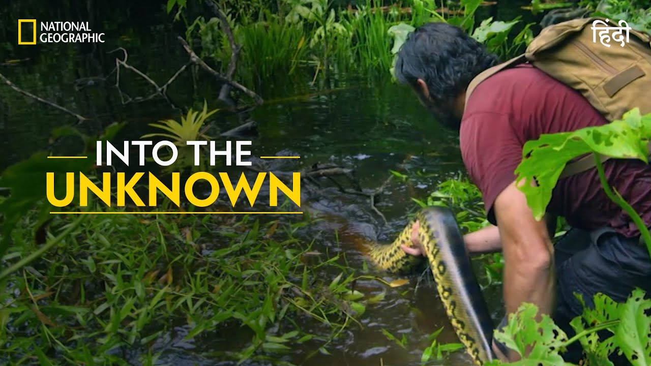 Into The Unknown | Primal Survivor | हिन्दी | National Geographic