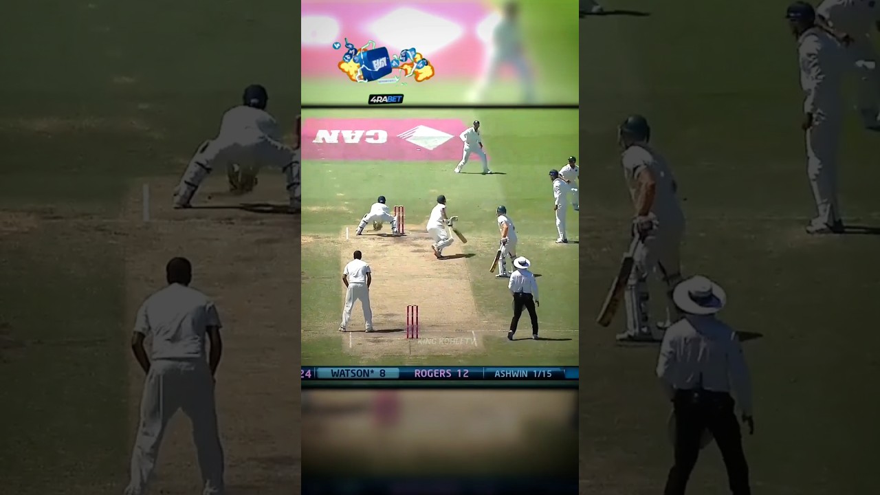 HOW  SEE THE FIELDER 🤯 #cricket #shorts #indvsaus #sg