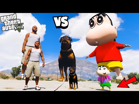 Franklin Dad Vs Chop Dad Vs Shinchan Dad Who Is Strongest In GTA 5!