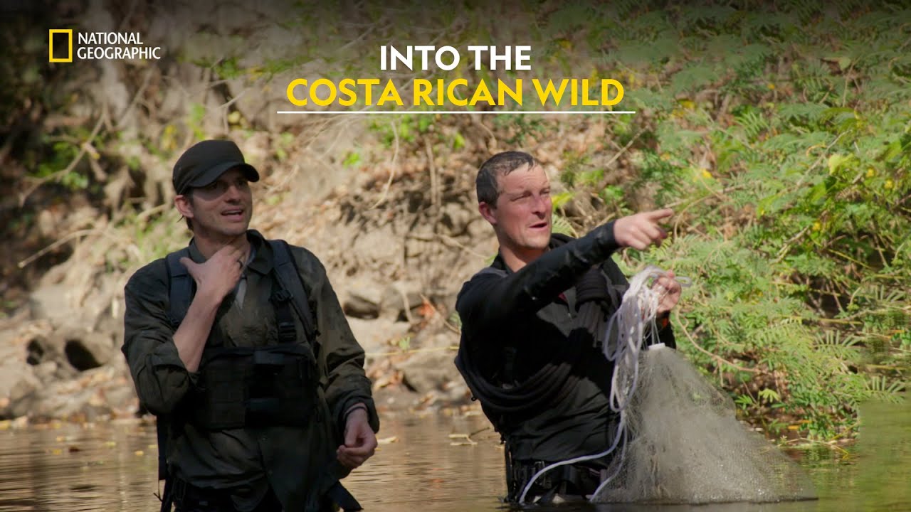 Ashton Kutcher Jungle Survival | Running Wild With Bear Grylls | हिंदी | S1 – E13 | Nat Geo