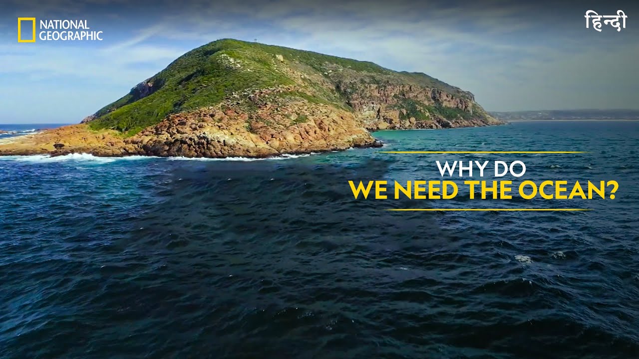 Why Do We Need The Ocean? | Hostile Planet | Full Episode S01-E02 | हिन्दी | Nat Geo Wild