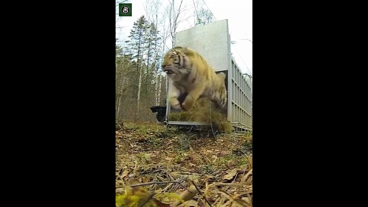 Daily Updates Of Discovery Channel