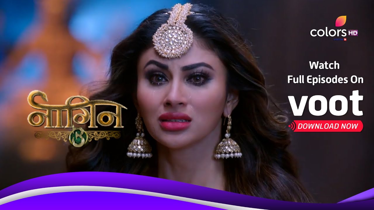 Naagin Ki Daastaan | नागिन | A Happy Ending? | एक ख़ुशी भरा अंत?