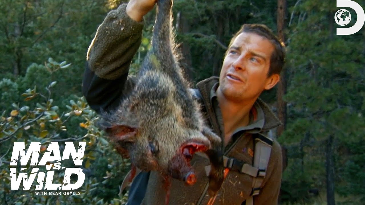 Bear Grylls’ Jaw-Dropping Hunt For A Wild Pig | Man Vs. Wild | Discovery
