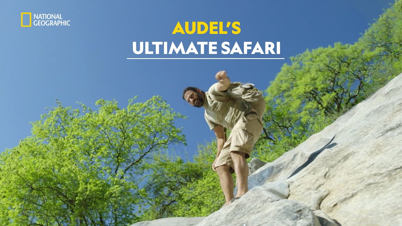 Audel’s Serengeti Journey | Primal Survivor | हिंदी | Full Episode | S7 – E6 | Nat Geo