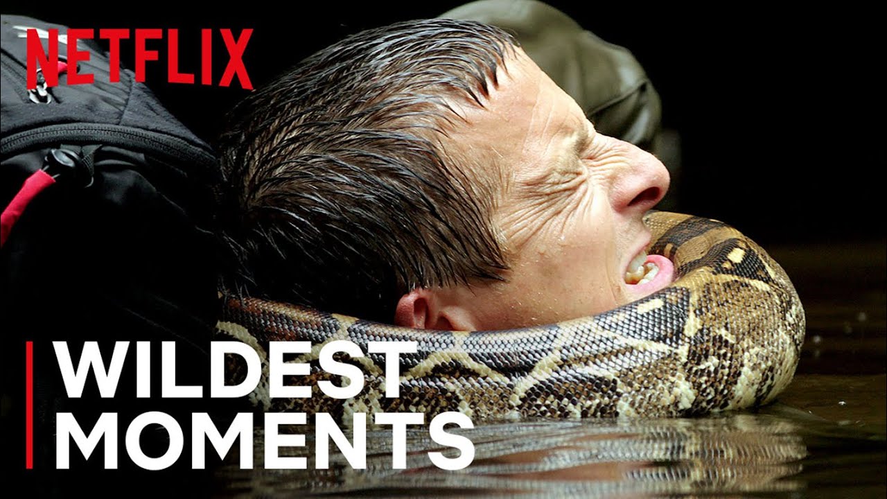 Bear’s WILDest Moments 🤯 Animals On The Loose: A You Vs Wild Movie | Netflix Family