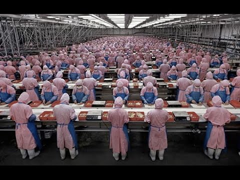 The Biggest Factory In The World – Full Discovery Channel Documentary
