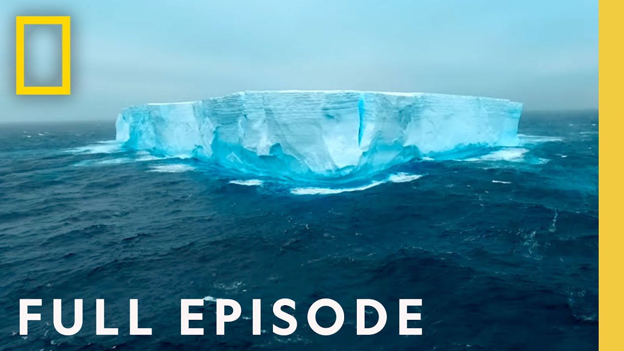 Antarctica: Home At The End Of The Earth (Full Episode) | Incredible Animal Journeys