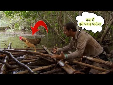 क्या मैं इसे पकड़ पाऊंगा Men Vs Wild Full Episode Hindi Il Bear Grylls Il Bear VsChicken #wild