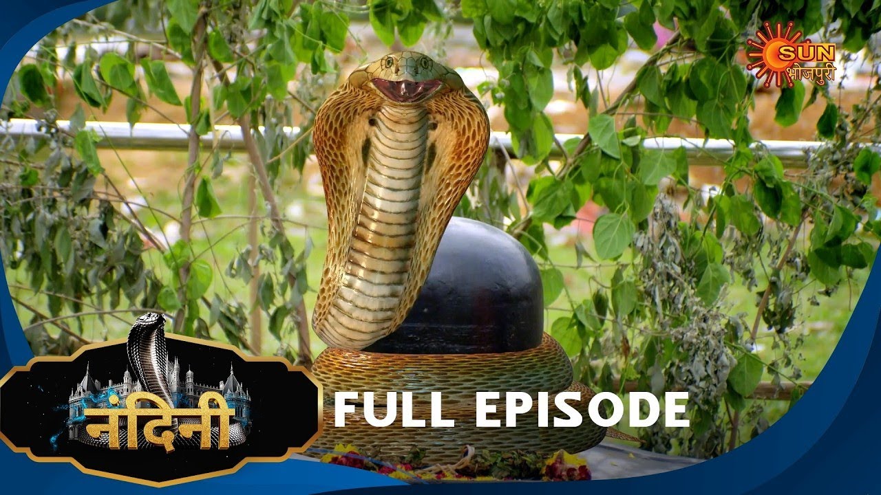 Nandini – Episode 195 | Bhojpuri Naagin Show | Sun Bhojpuri | Bhojpuri Serial