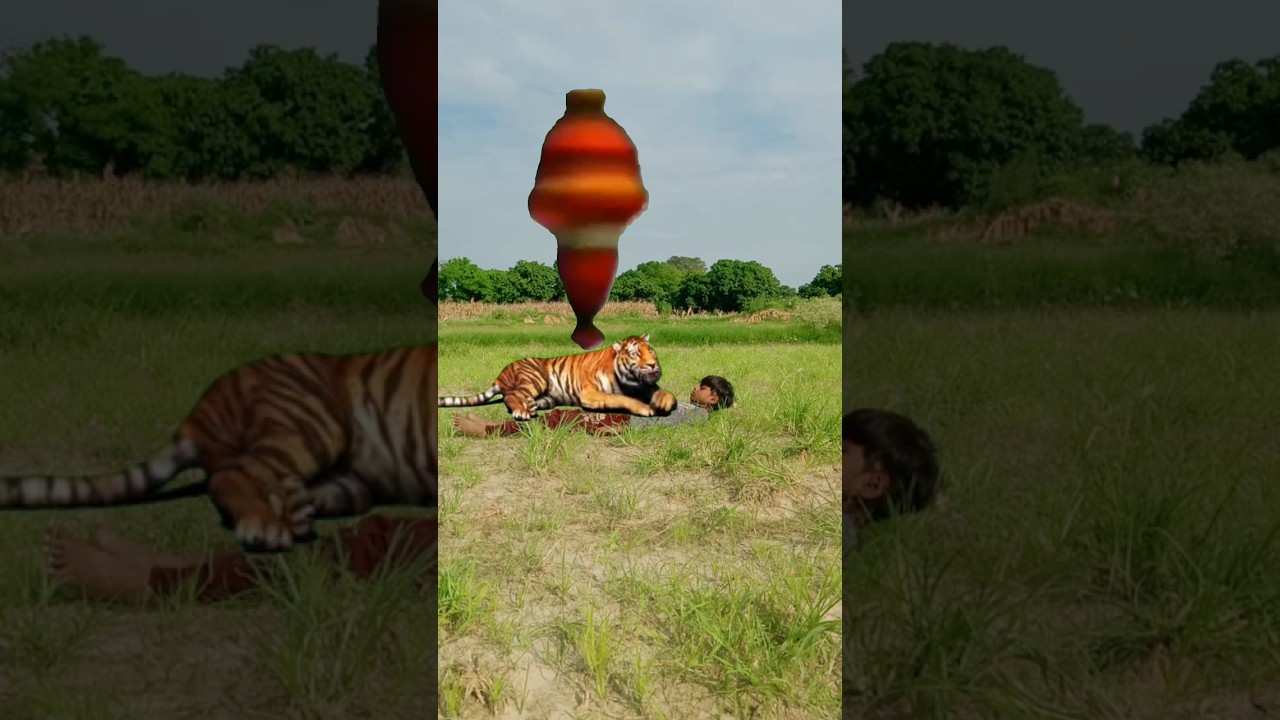 शक्तिमान ने लड़के को बचा लिया || Shaktimaan Saved The Boy🐅🤘💕 #shorts #trending #shaktiman