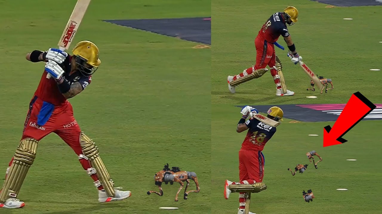 Virat Kohli Broke IPL Robot Dog Champak By Hitting Bat After Getting Out During RCB Vs LSG Match