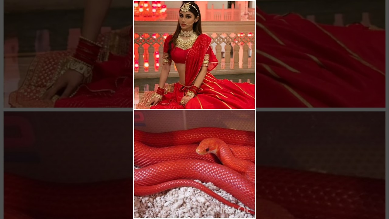 All Naagin Actress 👗 Matching 🐍#shorts #video #viralvideo #youtubeshorts #trending #naagin