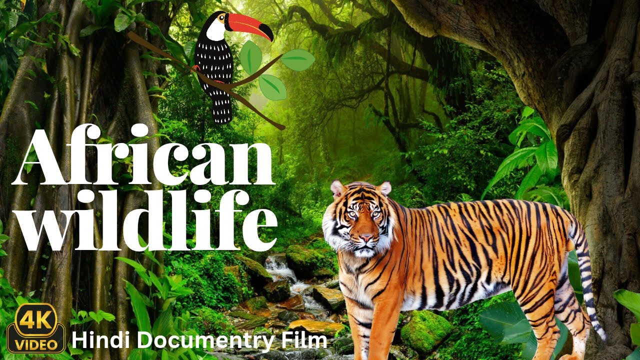 African Cat’s | National Geographic Documentary |Bird Wild Animal | Relaxing Music @DiscoveryLAT