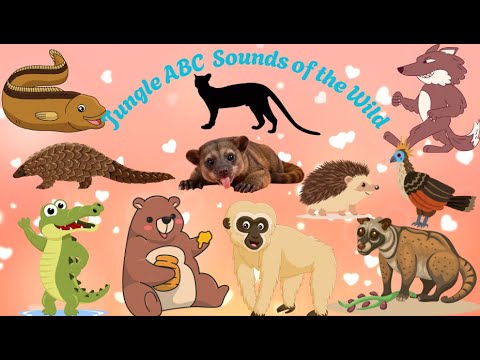 Jungle ABC Sounds Of The Wild|English Songs For Children|Study With Your Baby