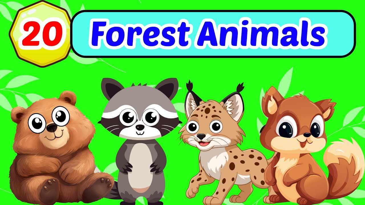 Animals For Kids | ESL Animals Vocabulary | English Educational Video, Fun Kids English