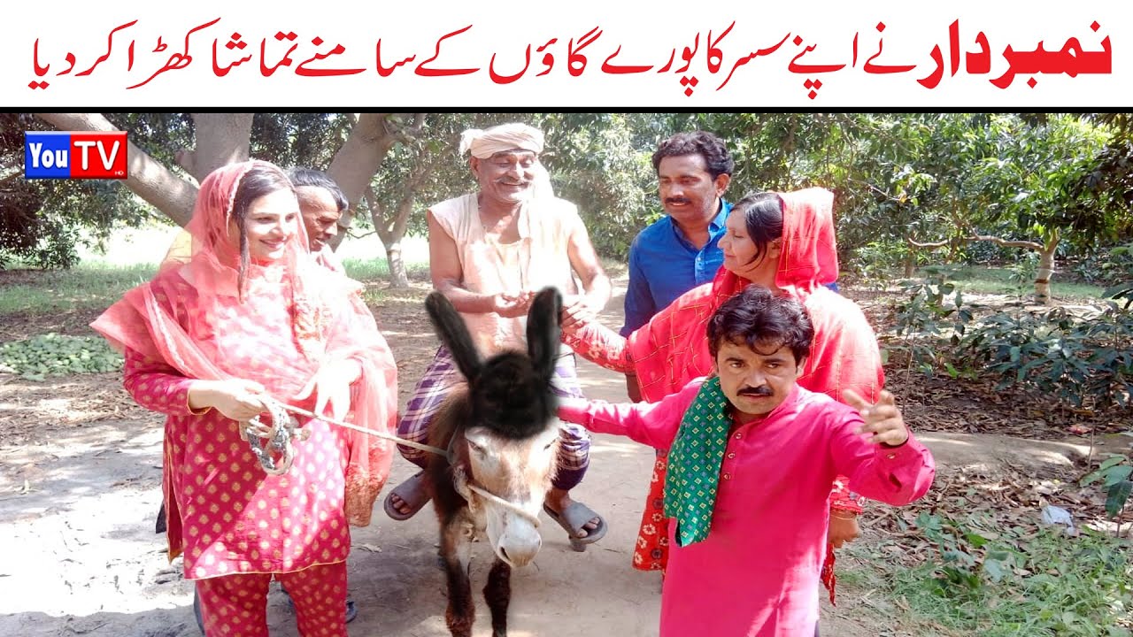 Number Daar Susar Ka Tamasha New Numberdar Funny Video | Most Comedy Funny Video | You Tv Hd 2025
