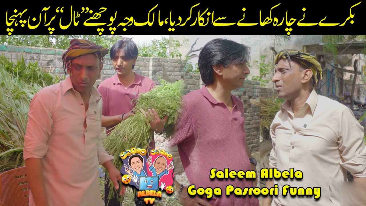 Bakra Ka Charra Khanay Say Inkar Saleem Albela Goga Pasroori Funny Video
