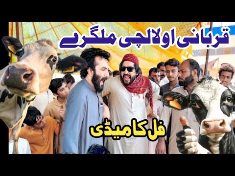 Qurbani Ao Lalachi Malgary Funny Video By Pk Plus Vines 2025